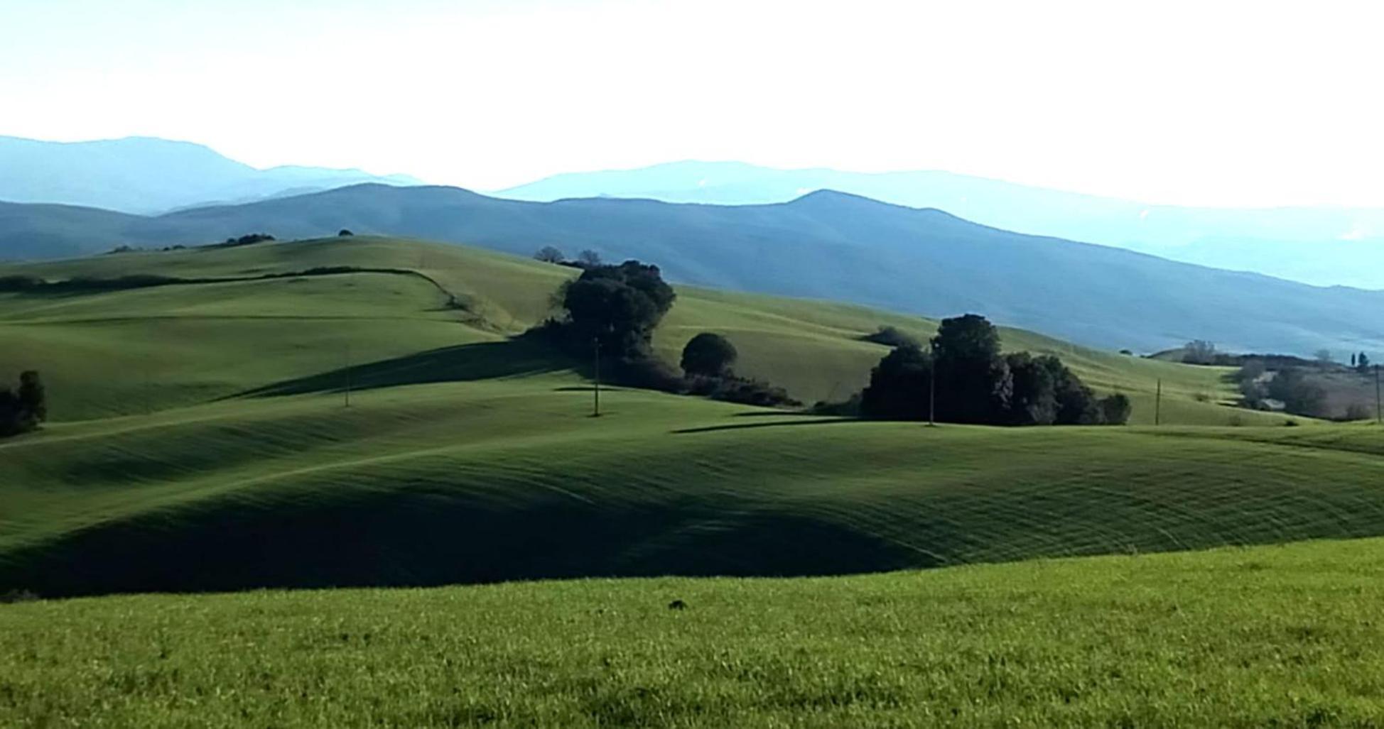 La Pecora Verde Σαν Τζιμινιάνο Εξωτερικό φωτογραφία