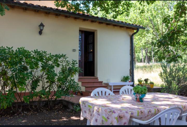 La Pecora Verde Σαν Τζιμινιάνο Εξωτερικό φωτογραφία