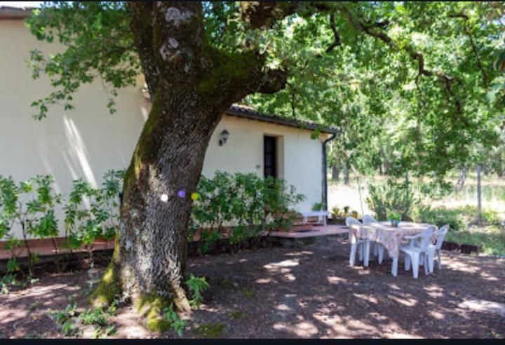 La Pecora Verde Σαν Τζιμινιάνο Εξωτερικό φωτογραφία